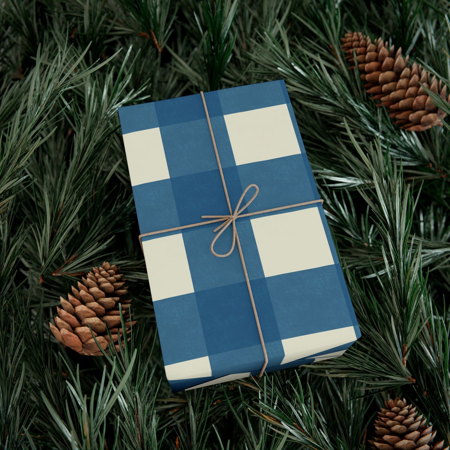 Classic Blue Gingham Gift Wrap